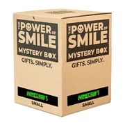 Minecraft Mystery Box ajándékcsomag small