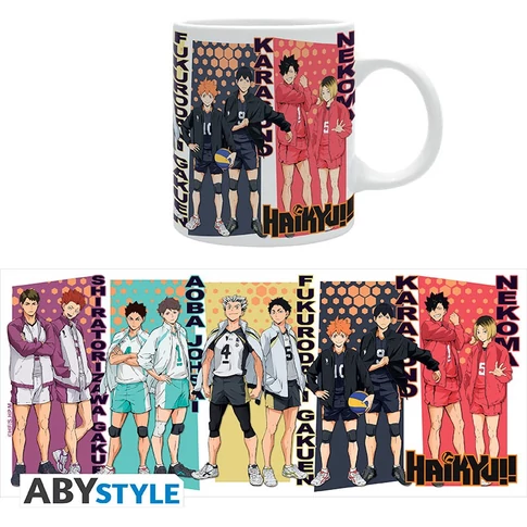HAIKYU!! - bögre - 320 ml - Rival teams