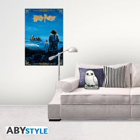 Harry Potter párna 