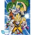 Dragon Ball poszterek 52x38cm 